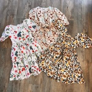 IVY CITY CO. Lot - size 6/7